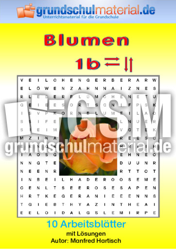 Blumen_1b.pdf